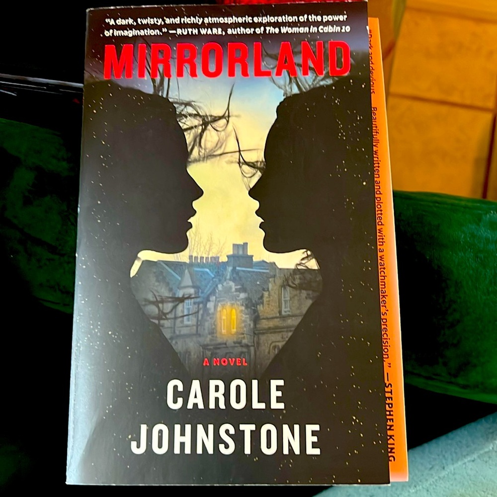 Mirrorland Novel by Carole Johnstone